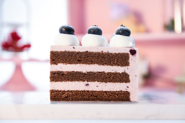 Mousse Cake Blueberry Mousse